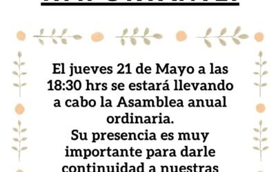 Asamblea anual ordinaria 2026